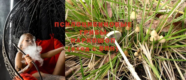 МДМА Краснослободск